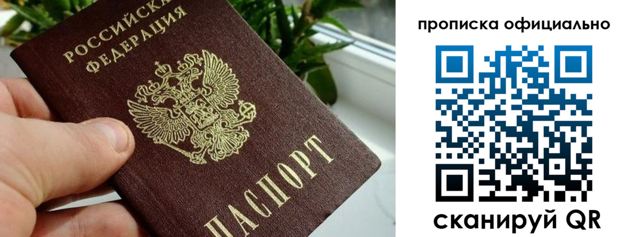 прописка поиск в Новозыбкове